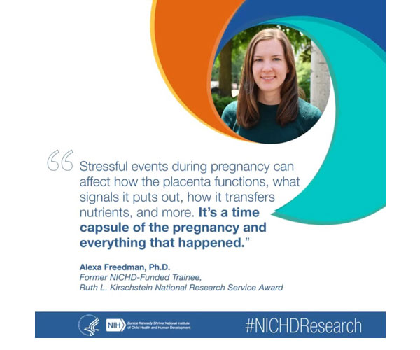 #NICHDResearch quote from former NICHD-funded trainee Alexa Freedman, Ph.D.: “Stressful events during pregnancy can affect how the placenta functions, what signals it puts out, how it transfers nutrients, and more. It's a time capsule of the pregnancy and everything that happened.”