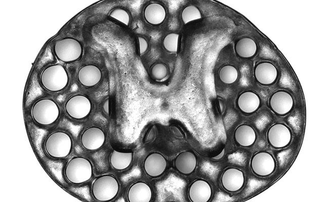 A 3D printed implant serving as scaffolding to repair spinal cord injury in rats. The roughly circular implant has an H shaped core surrounded by dots—conduits through which nerve fibers can grow. Credit: Jacob Koffler and Wei Zhu, University of California, San Diego.