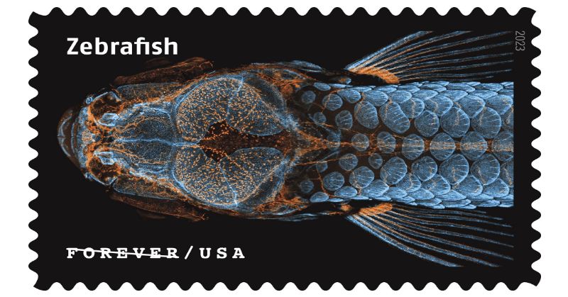 U.S. Postal Service Reveals Stamps for 2023 - Newsroom - About