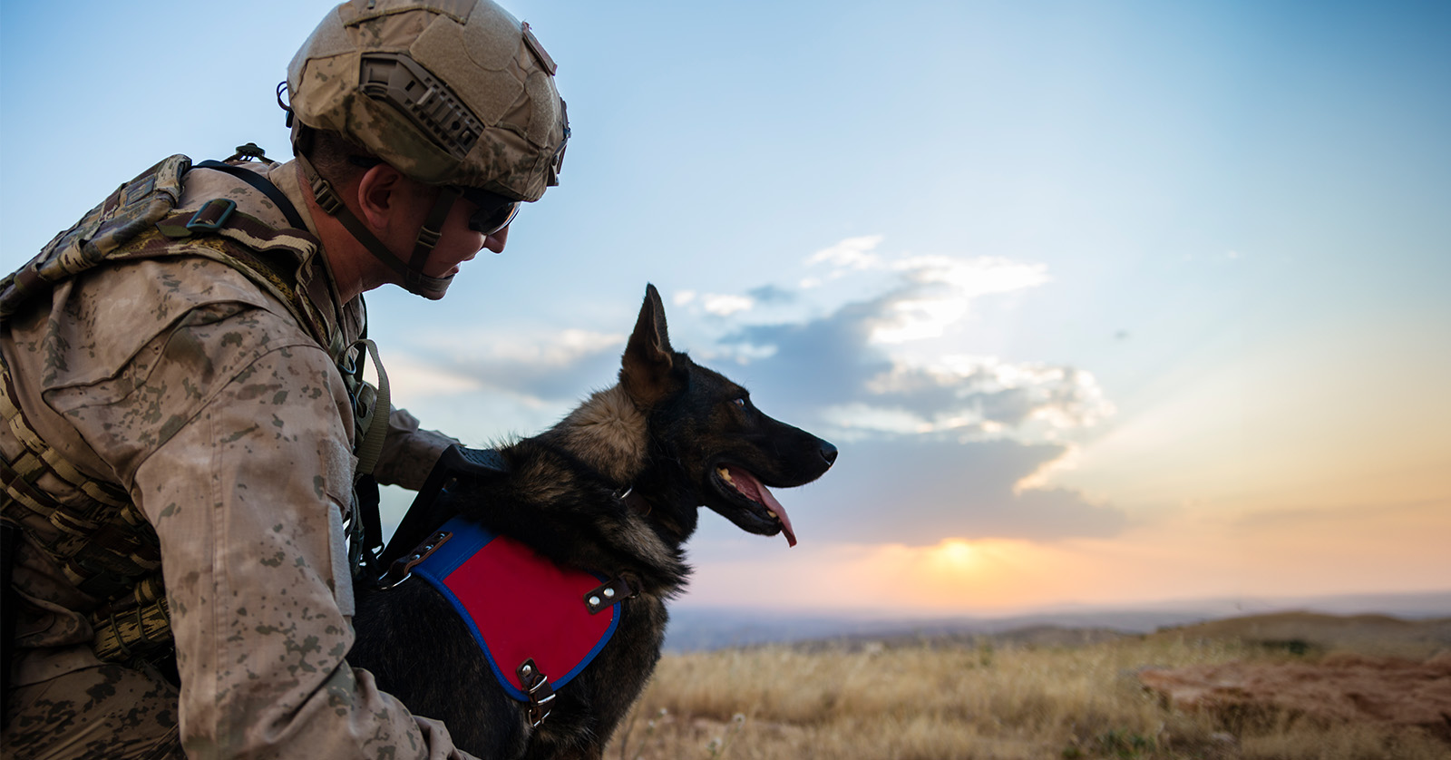 A military member with a service dog.