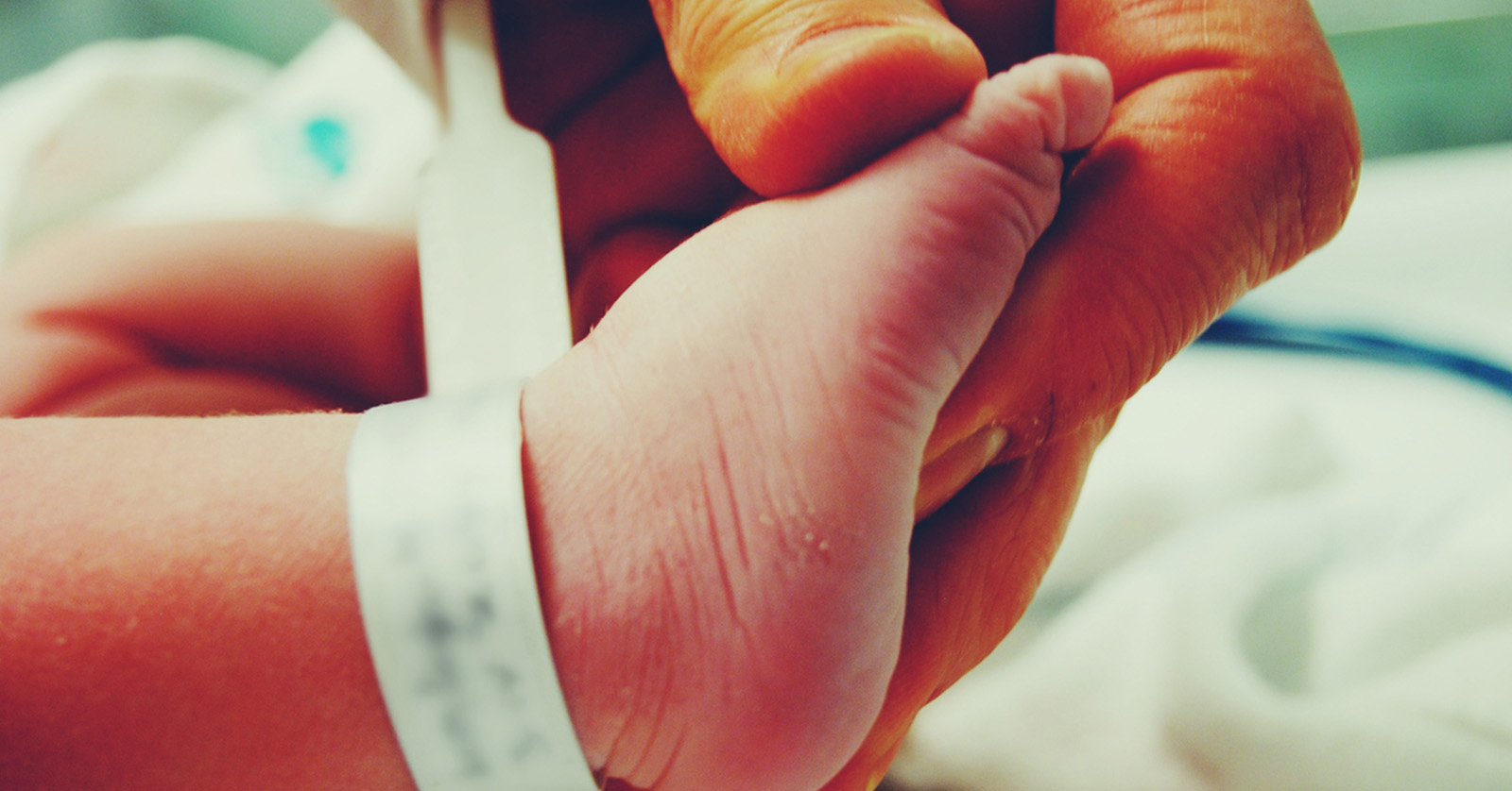 Closeup of adult hand holding infant foot.