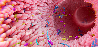 Artist’s rendering of microorganisms in the human intestinal tract.