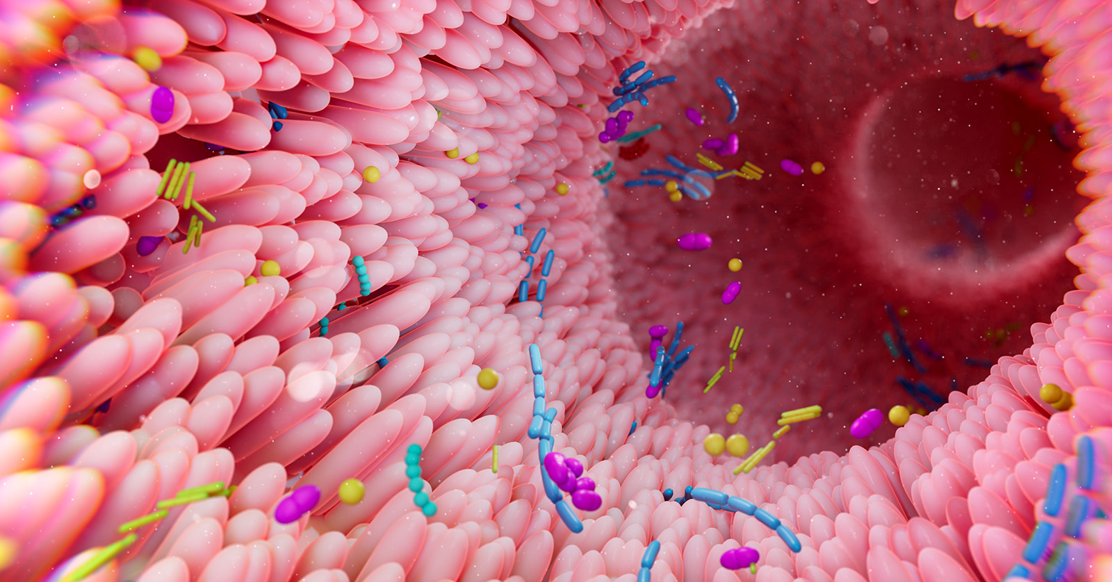 Artist’s rendering of microorganisms in the human intestinal tract.