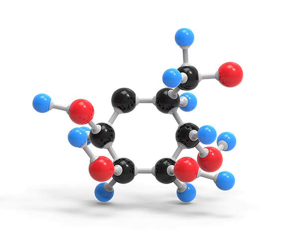 Model of the glucose molecule.