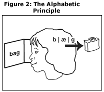 The Alphabetic Principle: illustration of child reading the word bag and understanding the phonemes that make up the word. In the child’s head are the sounds of bag, and next to the child’s head is a drawing of a bag. The child visualizes what “bag” means so the letters, sounds, and meaning are all connected.