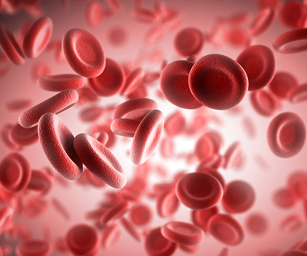 Three-dimensional computer image of red blood cells floating on a pink background. The cells are tablet-shaped with indented centers.