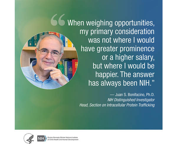 Quote from Juan S. Bonifacino, Ph.D., NIH Distinguished Investigator and Head of the Section on Intracellular Protein Trafficking: “When weighing opportunities, my primary consideration was not where I would have greater prominence or a higher salary, but where I would be happier. The answer has always been NIH.” 