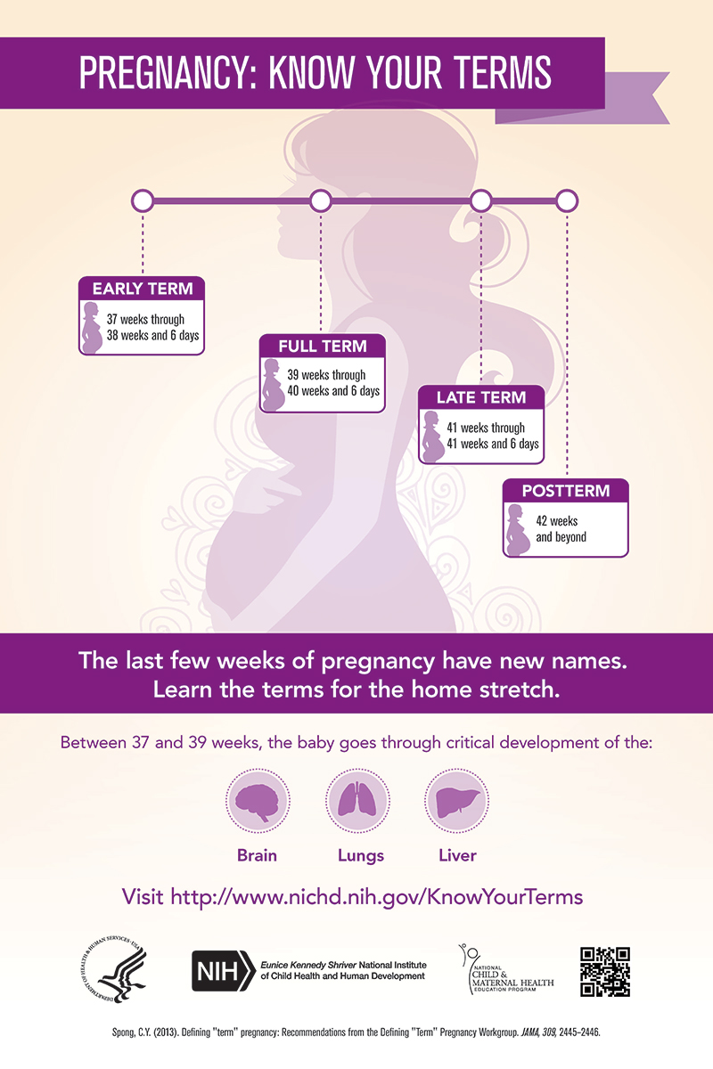 Poster - Pregnancy: Know Your Terms