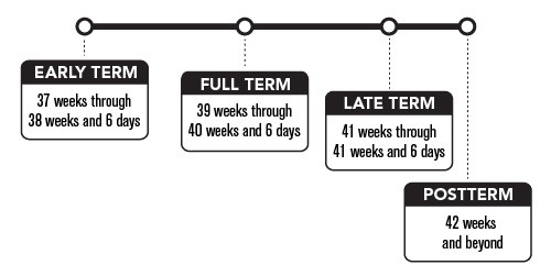 Early term is 37 weeks through 38 weeks and 6 days. Full term is 39 weeks through 40 weeks and 6 days. Late term is 41 weeks through 41 weeks and 6 days. Postterm is 42 weeks and beyond.