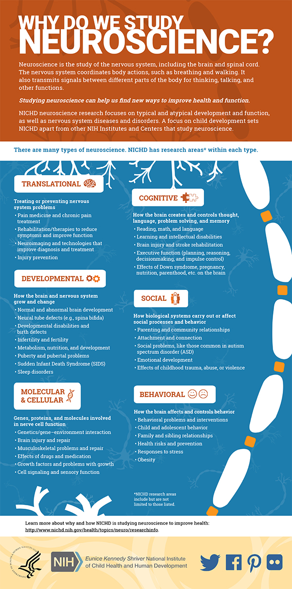 Infographic Why Do We Study Neuroscience? NICHD Eunice Kennedy