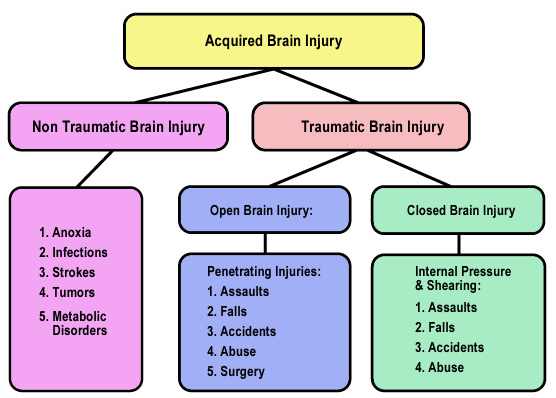 Acquired Brain Injury could be non traumatic brain injury (anoxia, infections, strokes, tumors, metabolic disorders) or traumatic bran injury which could be open brain injury (penetrating injuries include assults, falls, accidents, abuse, surgery) or closed brain injury (internal pressure & sheering from assults, falls, accidents, abuse)