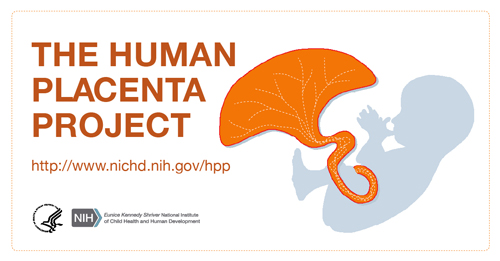The Human Placenta Project Facecbook Image