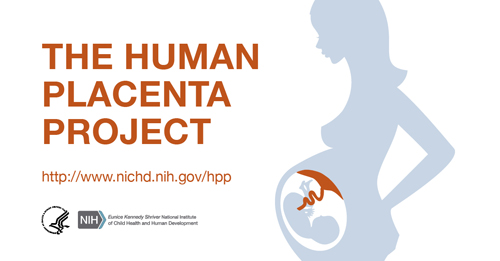 The Human Placenta Project Facecbook Image